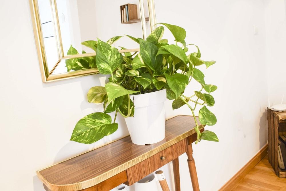 Letmalaga Carreteria Apartment Luaran gambar